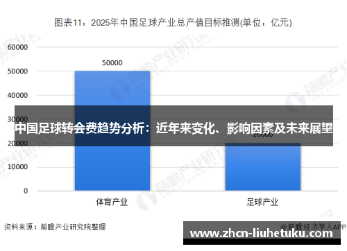 中国足球转会费趋势分析：近年来变化、影响因素及未来展望